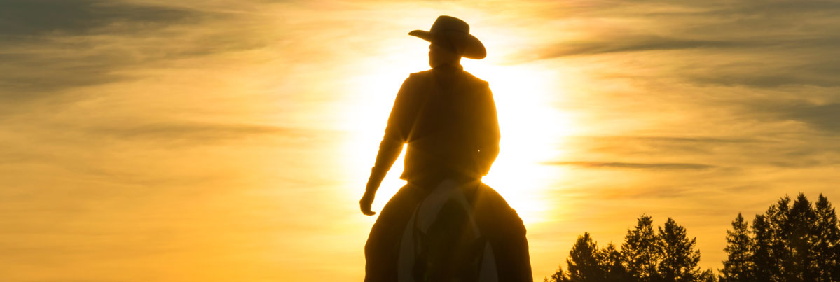 rider on horseback silhouetted against setting sun
