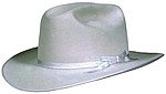 119-LBJ style Silverbelly color hat with matching ribbon