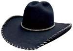 227 20X Pure Beaver Black color CATTLEMAN with Crystal hatband and lacing