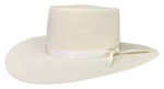 288 Gambler style clear color hat with matching ribbon