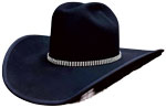 315 20X Pure Beaver Black with Cowhide inner brim and Crystal hatband