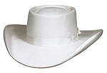 56 Gambler style, Rand’s Clear Beaver 100 hat with matching ribbon