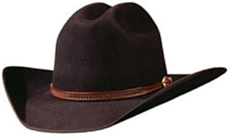 Dark Brown Hat with leather hatband and gold buckle